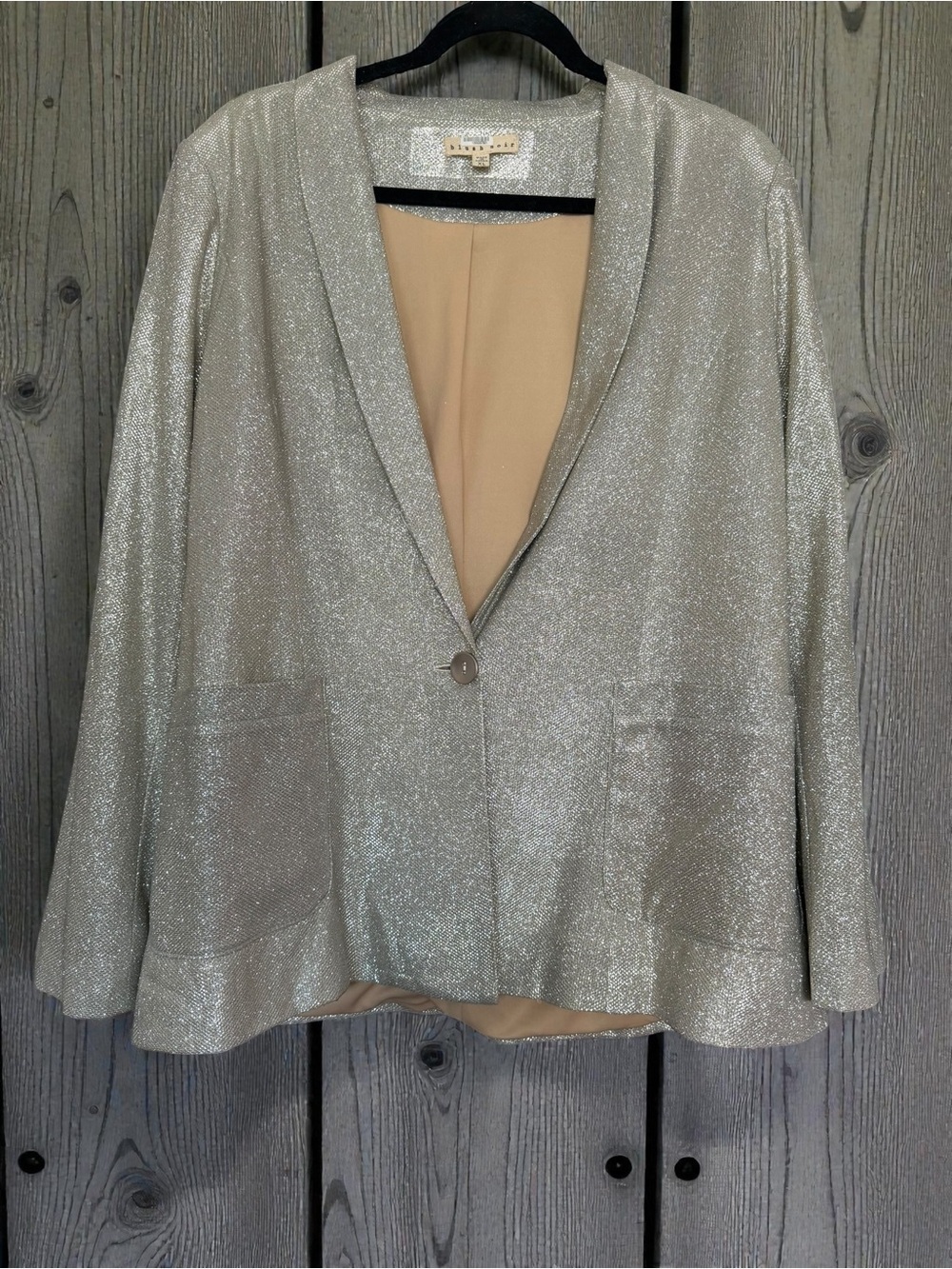 Sparkle Silver Single-Button Blazer by Weekend Blush Noir